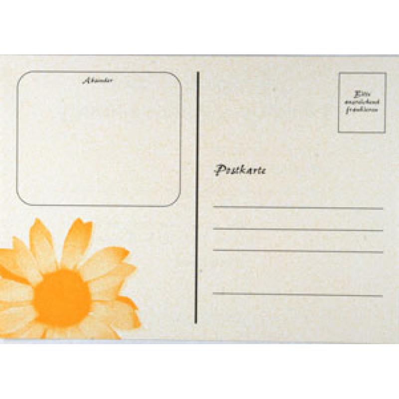 Recall-Postkarte Sonnenblume - 25220