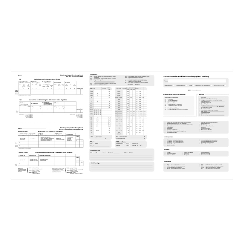 Ankreuzformular mit Schlüssellisten /EBZ konform (DINA4) - 24220